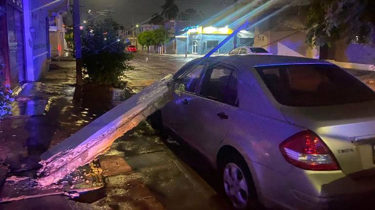 Protección Civil atendió 10 incidentes por lluvia y viento; hubo árboles, lonas y un poste caídos.