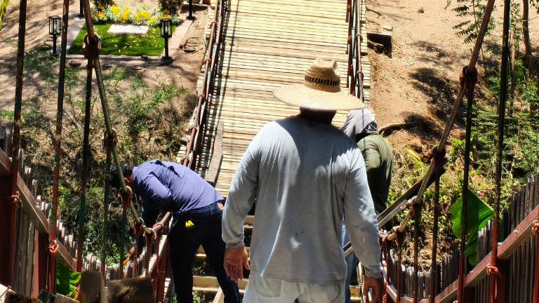 En Rosario están haciendo la sustitución de madera del puente colgante en la Laguna del Iguanero.
