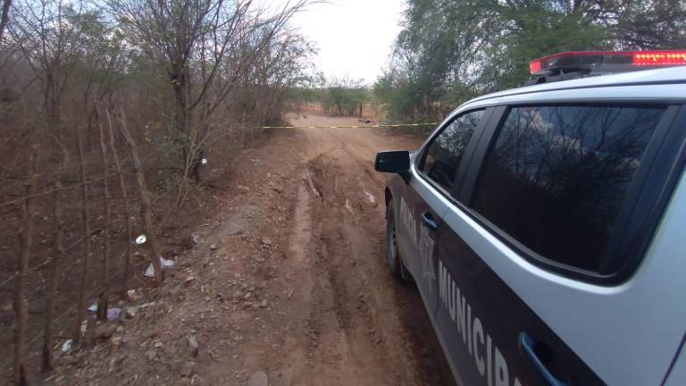 Matan a golpes a un hombre en La Pitayita, en Culiacán
