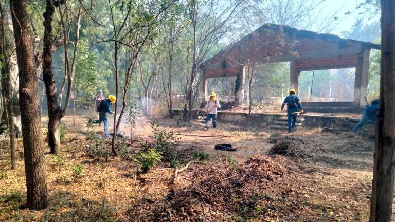 Protección Civil de Mazatlán se coordina con Conafor para dar atención a posibles incendios forestales.