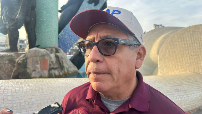 Ángel García comentó que se activaron protocolos ambientales tras el hallazgo de dos tortugas marinas y un lobo marino muertos en playas de Mazatlán.