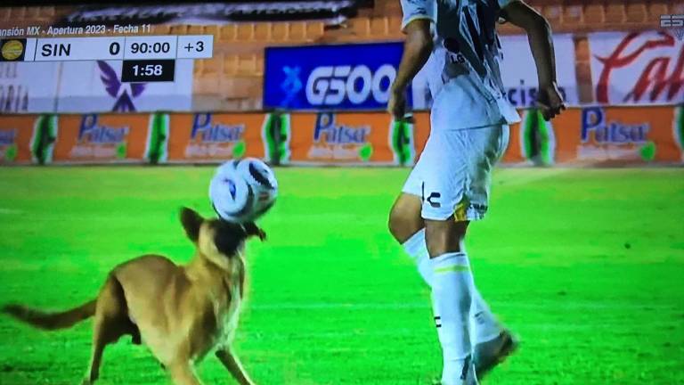 Un perro interrumpió el encuentro que Dorados de Sinaloa disputó ante Alebrijes en Oaxaca.