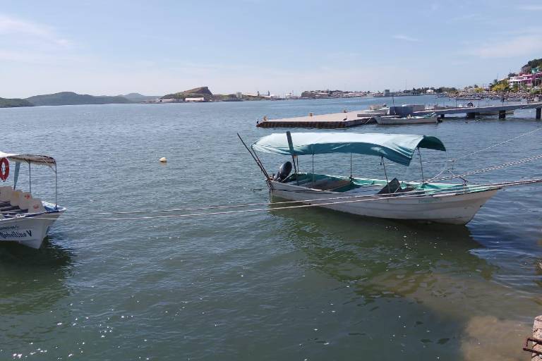 El norte de Sinaloa tiene camarón; en el centro, pescadores piden declarar emergencia