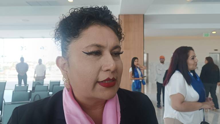 Castañeda Estrada agregó que son las mujeres que se dedican a venta de objetos pequeños o puestos chicos en sus domicilios, quienes han sufrido esta situación.