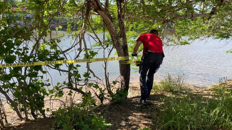 Delimitan Estero del Yugo en Mazatlán por presencia de cocodrilos