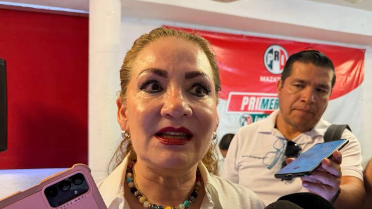 La Regidora por el PRI en Mazatlán, Maribel Chollet Morán, pidió la destitución del Secretario de Seguridad Pública Municipal, Jaime Othoniel Barrón Valdez.