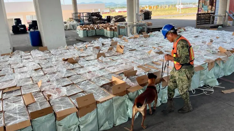 Autoridades federales decomisaron casi 10 millones de cigarrillos apócrifos durante una revisión aduanera en Lázaro Cárdenas, Michoacán.