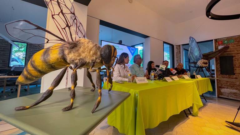 Llega a Culiacán ‘Insectus. Ciencia Arte Cultura’, de Levon Biss