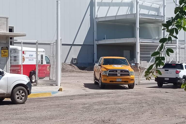 Ataque de abejas en Parque Industrial Mazatlán deja 17 heridos, tres hospitalizados