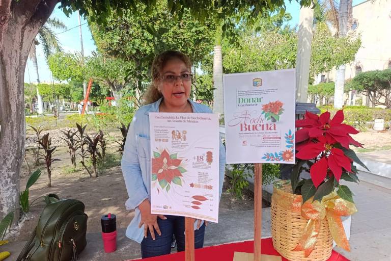 Invitan a donar nochebuenas para adornar plazuelas de Escuinapa