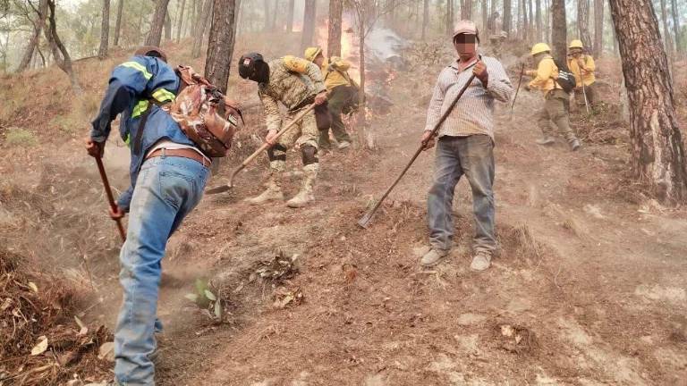 Personal forestal durante los trabajos de la contención de incendios en la sierra de Sinaloa.