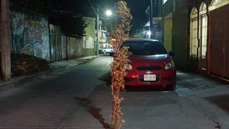 Un arbusto es utilizado como una advertencia para que evitar caer en una alcantarilla en Escuinapa.