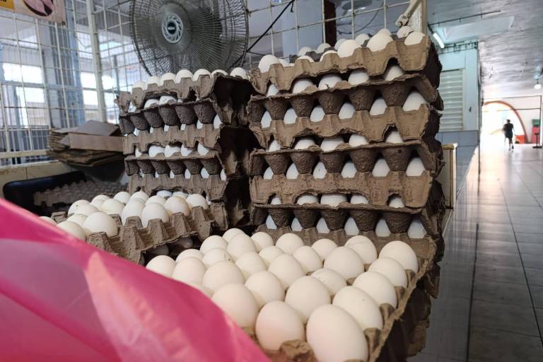 Precio del huevo aumenta en Escuinapa y afecta a clientes y comerciantes