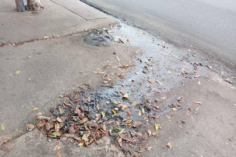 Denuncian vecinos brote de aguas negras en Barrio Mágico de Culiacán