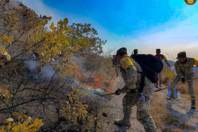 Conafor combate 100 incendios forestales activos en 18 entidades del país