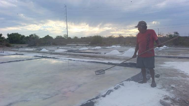 Salineros de Celaya enfrentan temporada complicada por lluvias y robos.