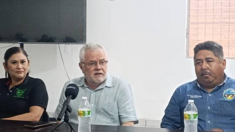 Autoridades municipales y representantes agrícolas de Escuinapa pidieron al USDA reconsiderar el envío de inspectores para reactivar los empaques de mango.
