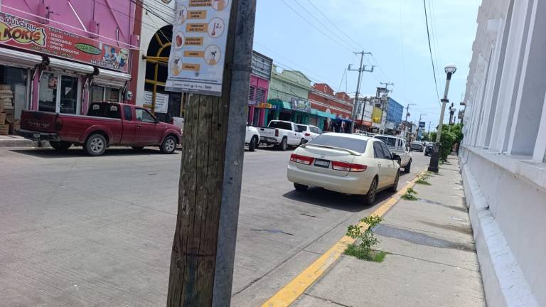 Los autos estacionados en línea amarilla serán sancionados.