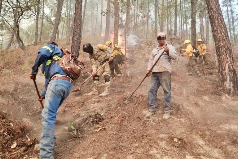 Sinaloa registra 62 incendios forestales; 15 más que en todo 2024