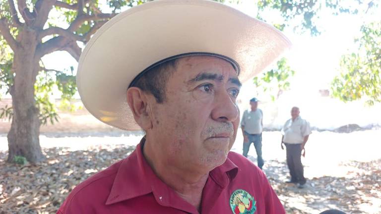 Rogelio Padilla Salcido, presidente del Módulo de Riego de la Unidad Escuinapa.