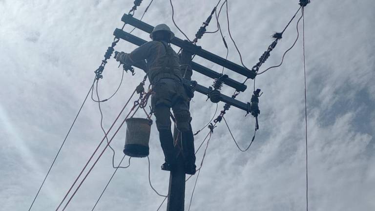 La Comisión Federal de Electricidad advirtió de una nueva modalidad de fraude que suplanta a la CFE.