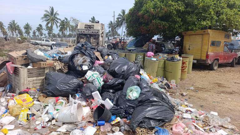 Estiman en 50 toneladas la basura generada durante las Fiestas del Mar de Las Cabras.