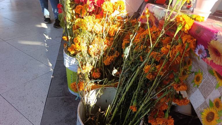 Los floristas esperan tener producción este 30 de noviembre.