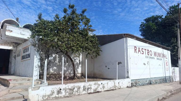 A pesar de haber sido clausurado por sus condiciones insalubres, el Rastro Municipal de Escuinapa sigue operando sin cambios.