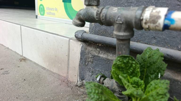 Algunos vecinos de el Centro han indicado que, desde el martes, no tienen servicio de agua potable.