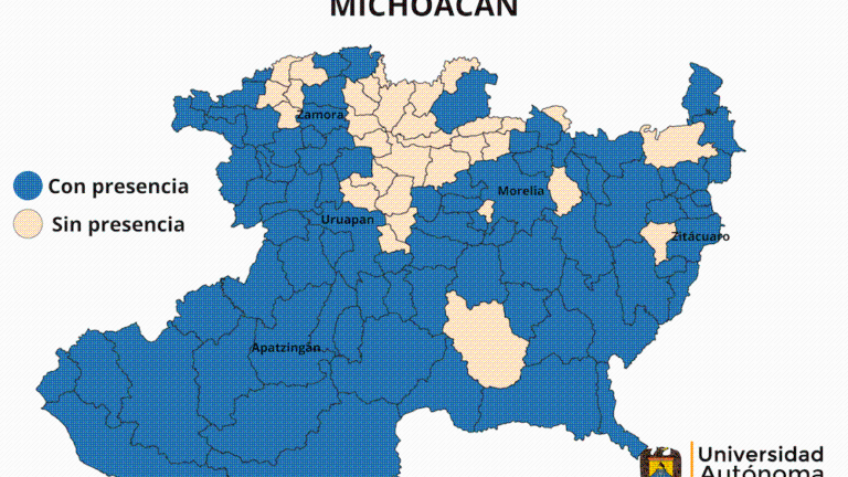 Radiografía del crimen organizado en Michoacán