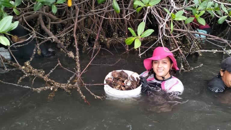 Los niños de las costas de Navolato reciben información sobre cómo cuidar las especies del mar.