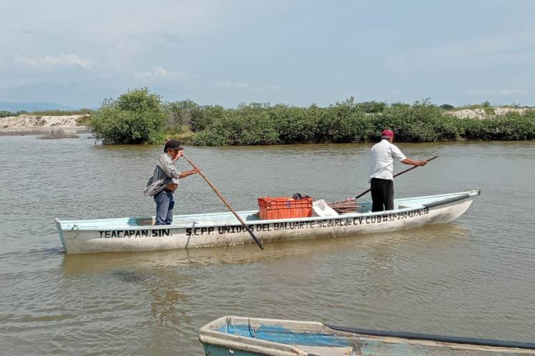 ‘No se pescó ni un sólo camarón’, afirman productores, en Chametla