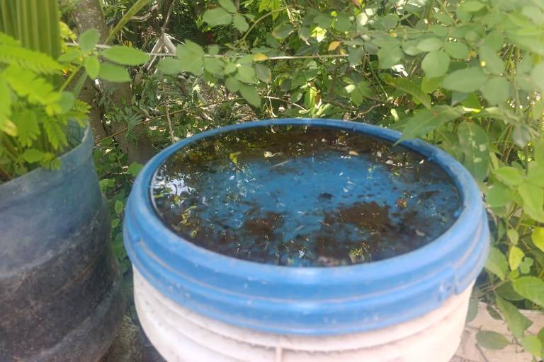 En Escuinapa se ha logrado reducir incidencia de dengue: Salud