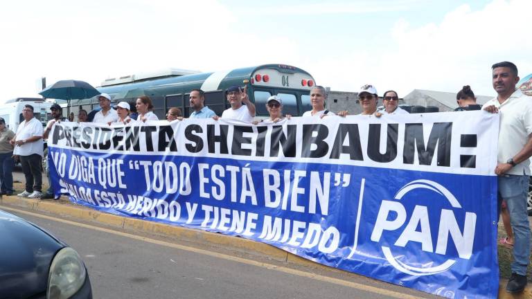 Alrededor de una docena de personas sostuvieron una lona en manifestación contra la Presidenta.