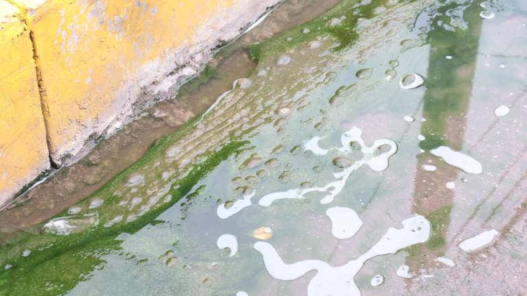 En el caso de Sinaloa, se han confirmado 442 casos de dengue.