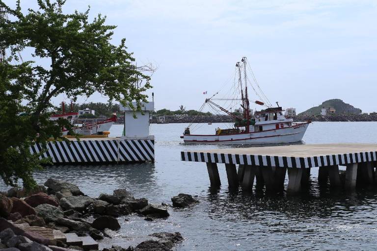 Pescadores de altamar reportan malas capturas y menos camarón