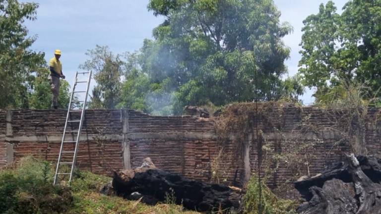 Personal de Bomberos de Rosario atiende un incendio en un predio baldío en el Centro de El Rosario.