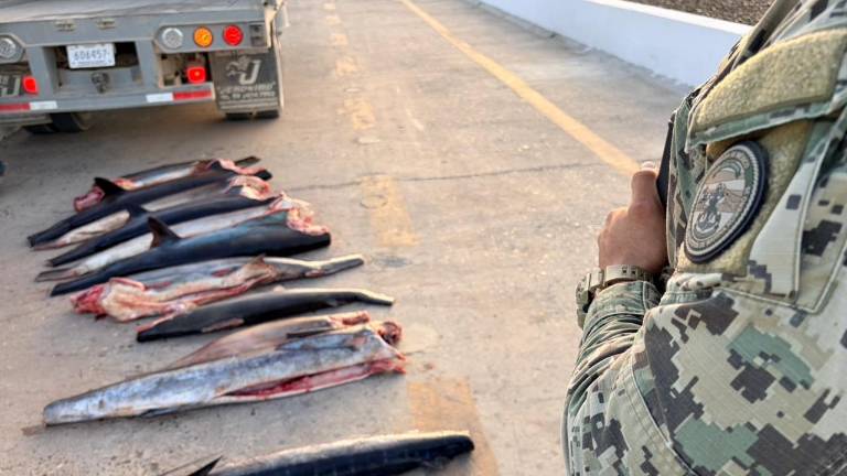 Durante el operativo, se localizó a bordo producto pesquero con un peso aproximado de 502 kilogramos.