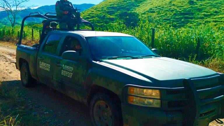 Los 3 plantíos de amapola fueron localizados en el poblado Santa Ana, municipio de Sinaloa de Leyva.