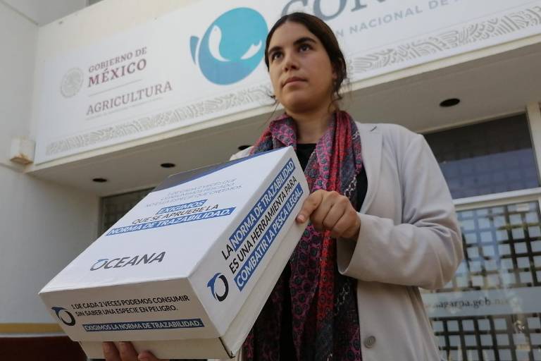 Entrega Oceana firmas a Conapesca para exigir que apruebe la Norma de Trazabilidad