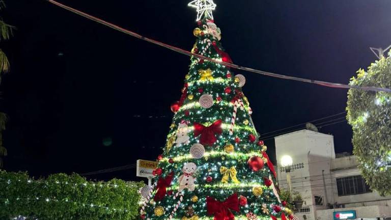 El árbol de navidad fue colocado en la plazuela Ramón Corona.
