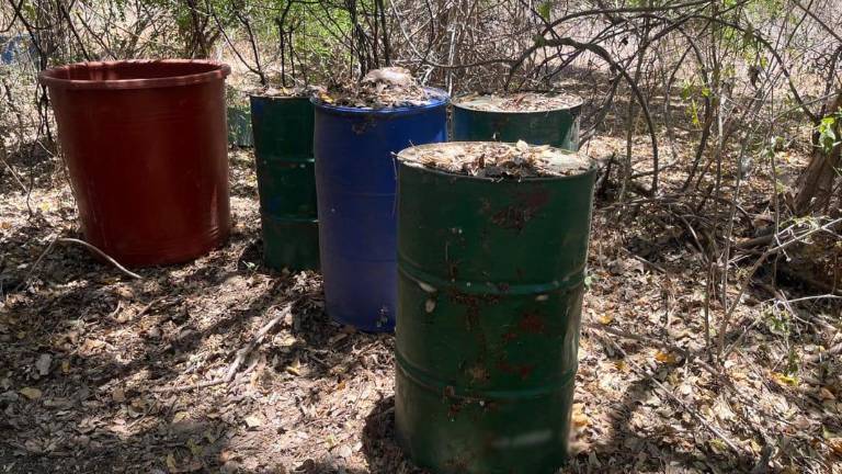 Depósitos de químicos son destruidos por elementos del Ejército Mexicano.