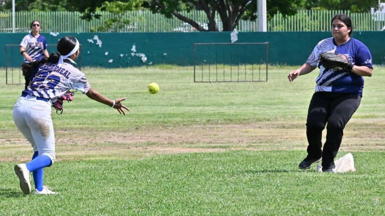 Participan 28 equipos.