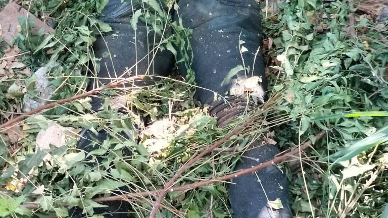 El colectivo Sabuesos Guerreras, que buscan a sus desaparecidos, reportan el hallazgo del cadáver de una persona al norte de Culiacán.