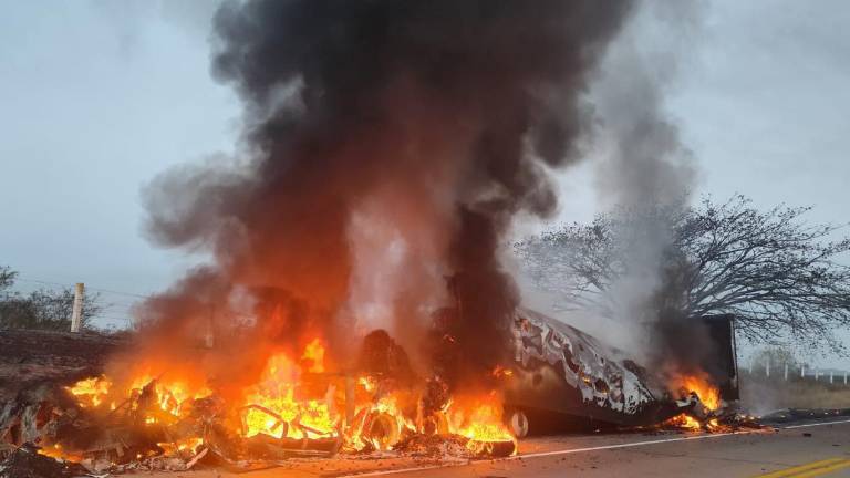 El siniestro se reportó sobre la autopista Tepic-Mazatlán, en el kilómetro 206, en el tramo a la altura de Potrerillos.