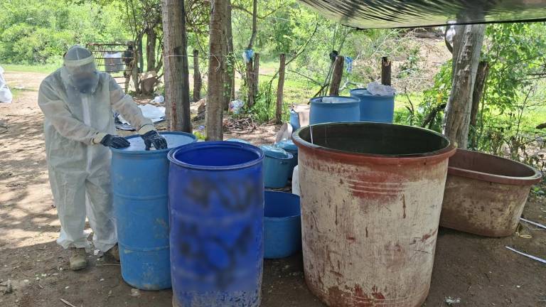 Elementos del Ejército Mexicano aseguraron sustancias químicas para metanfetamina en tres áreas rurales de Cosalá.