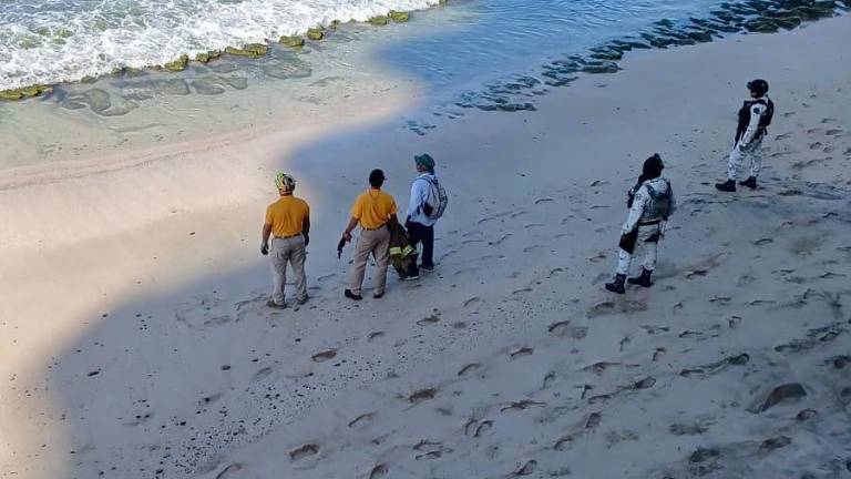 Las playas de Mazatlán permanecen abiertas al público mientras autoridades mantienen vigilancia ante el reporte de un cocodrilo.