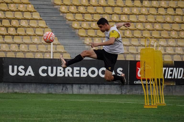 Dorados de Sinaloa buscará tener un mes de marzo exitoso