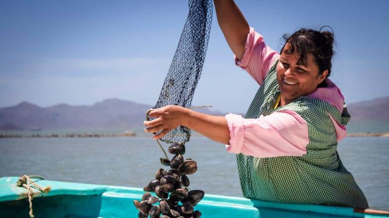 Este año fueron beneficiadas 595 mujeres de 117 municipios las que fueron capacitadas a través del Programa Nacional de Acompañamiento Técnico Acuícola Autogestivo.