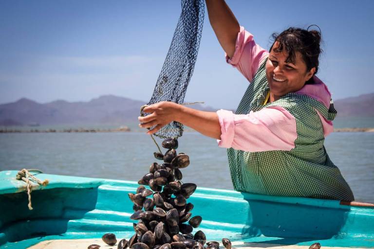 Fortalecen a mujeres acuacultoras de tilapia, bagre, trucha y ostión